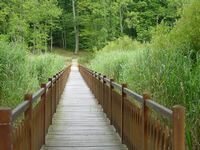 Passerelle de 80 sur pilotis