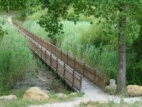 Passerelle sur pilotis