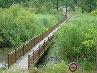 Passerelle 90 m sur pilotis structure métallique habillage chêne