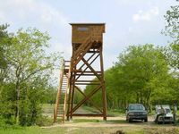 Construction en bois d'un mirador d'observation