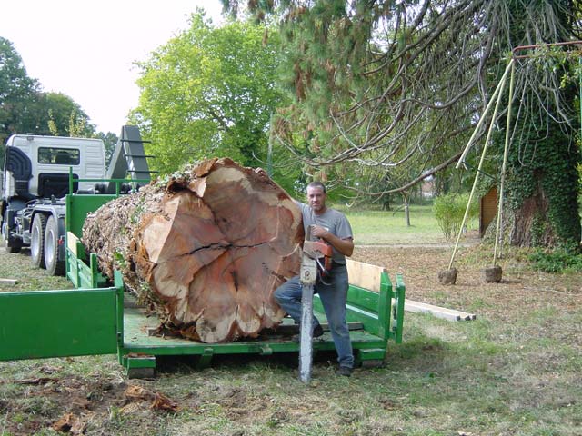 Transport gros bois